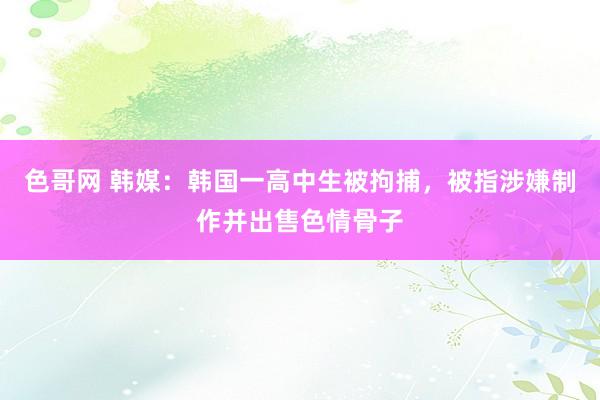 色哥网 韩媒：韩国一高中生被拘捕，被指涉嫌制作并出售色情骨子