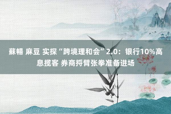 蘇暢 麻豆 实探“跨境理和会”2.0：银行10%高息揽客 券商捋臂张拳准备进场