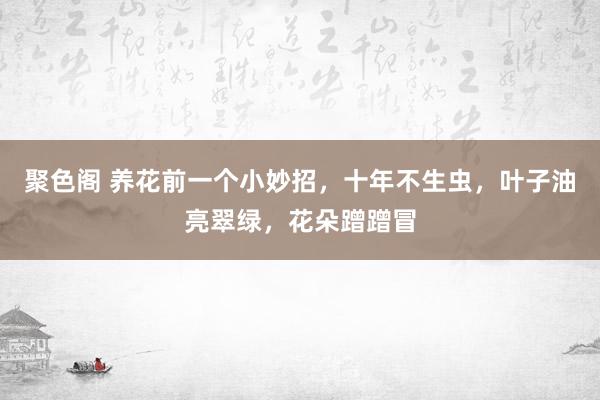 聚色阁 养花前一个小妙招，十年不生虫，叶子油亮翠绿，花朵蹭蹭冒