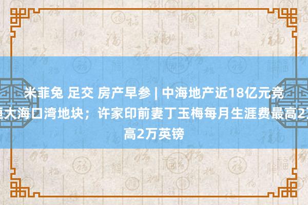 米菲兔 足交 房产早参 | 中海地产近18亿元竞得原恒大海口湾地块；许家印前妻丁玉梅每月生涯费最高2万英镑