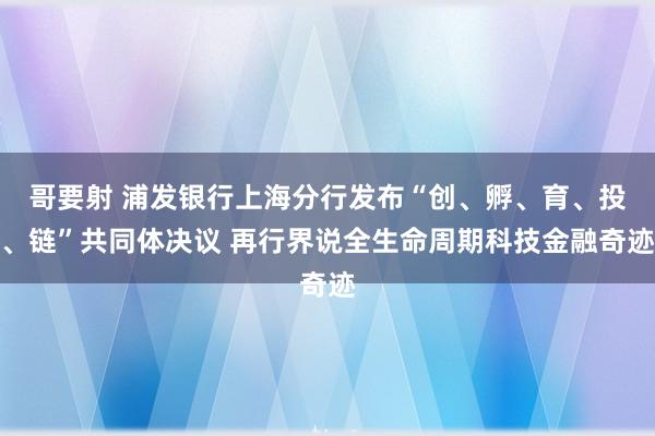 哥要射 浦发银行上海分行发布“创、孵、育、投、链”共同体决议 再行界说全生命周期科技金融奇迹