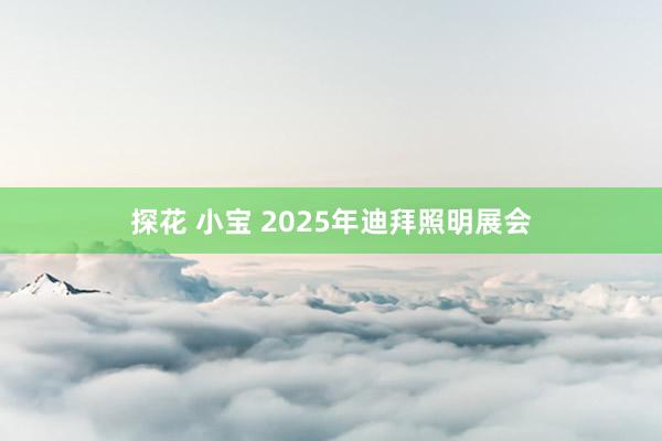 探花 小宝 2025年迪拜照明展会