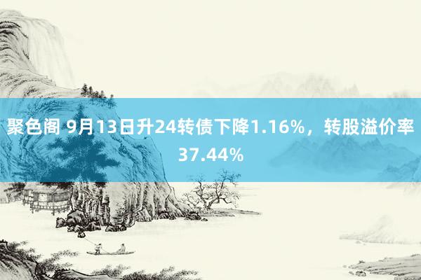 聚色阁 9月13日升24转债下降1.16%，转股溢价率37.44%