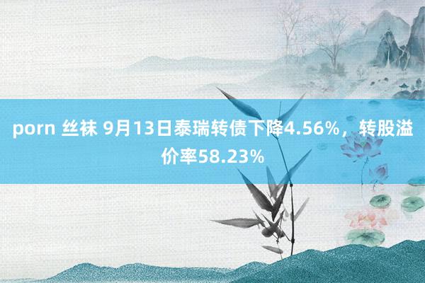 porn 丝袜 9月13日泰瑞转债下降4.56%，转股溢价率58.23%