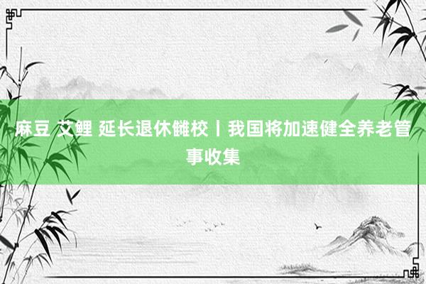 麻豆 艾鲤 延长退休雠校丨我国将加速健全养老管事收集