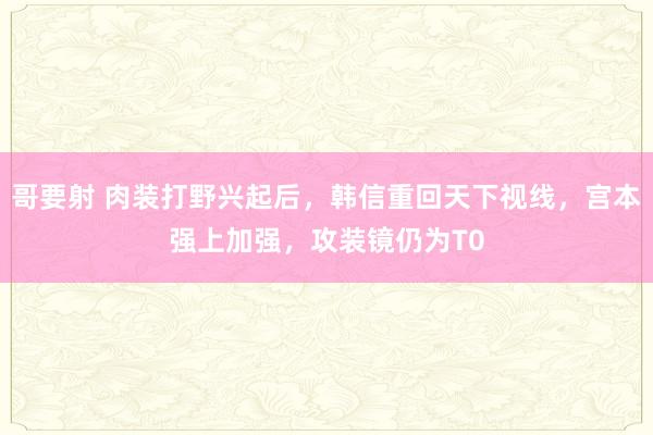 哥要射 肉装打野兴起后，韩信重回天下视线，宫本强上加强，攻装镜仍为T0