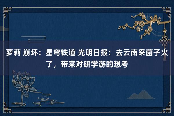 萝莉 崩坏：星穹铁道 光明日报：去云南采菌子火了，带来对研学游的想考