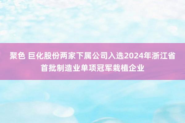 聚色 巨化股份两家下属公司入选2024年浙江省首批制造业单项冠军栽植企业