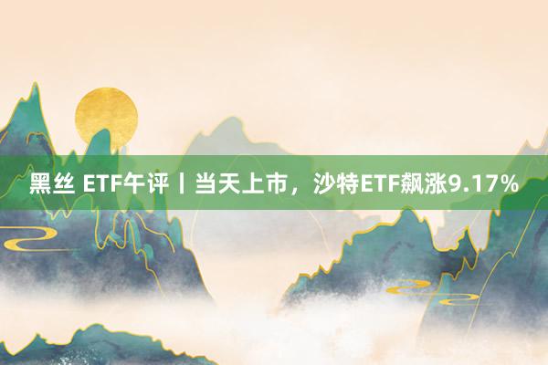 黑丝 ETF午评丨当天上市，沙特ETF飙涨9.17%