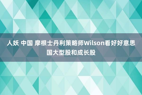 人妖 中国 摩根士丹利策略师Wilson看好好意思国大型股和成长股