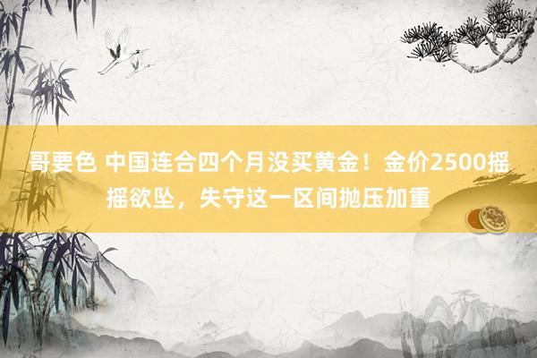 哥要色 中国连合四个月没买黄金！金价2500摇摇欲坠，失守这一区间抛压加重