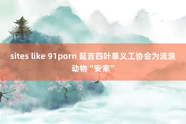 sites like 91porn 延吉四叶草义工协会为流浪动物“安家”