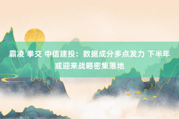 霸凌 拳交 中信建投：数据成分多点发力 下半年或迎来战略密集落地