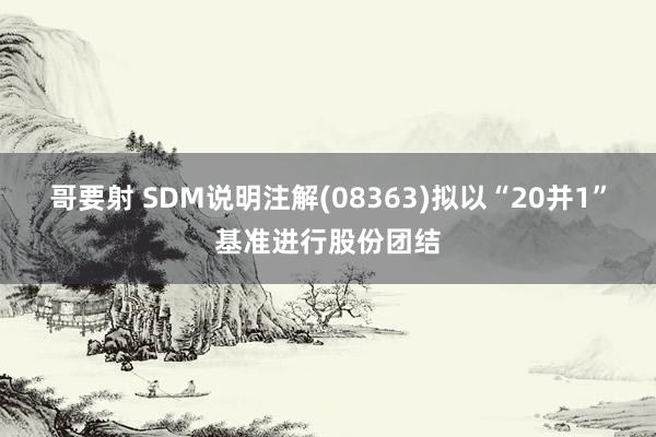 哥要射 SDM说明注解(08363)拟以“20并1”基准进行股份团结