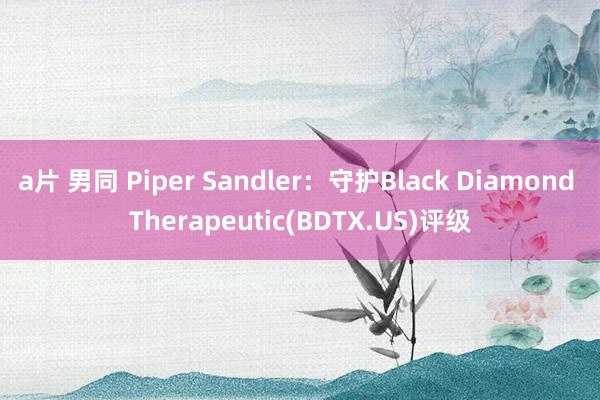 a片 男同 Piper Sandler：守护Black Diamond Therapeutic(BDTX.US)评级