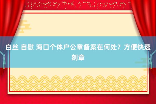 白丝 自慰 海口个体户公章备案在何处？方便快速刻章