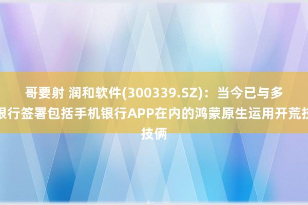 哥要射 润和软件(300339.SZ)：当今已与多家银行签署包括手机银行APP在内的鸿蒙原生运用开荒技俩