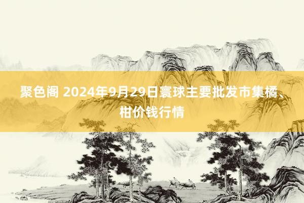 聚色阁 2024年9月29日寰球主要批发市集橘、柑价钱行情