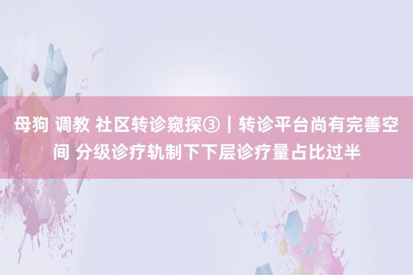 母狗 调教 社区转诊窥探③｜转诊平台尚有完善空间 分级诊疗轨制下下层诊疗量占比过半