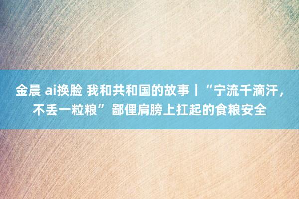 金晨 ai换脸 我和共和国的故事丨“宁流千滴汗，不丢一粒粮” 鄙俚肩膀上扛起的食粮安全