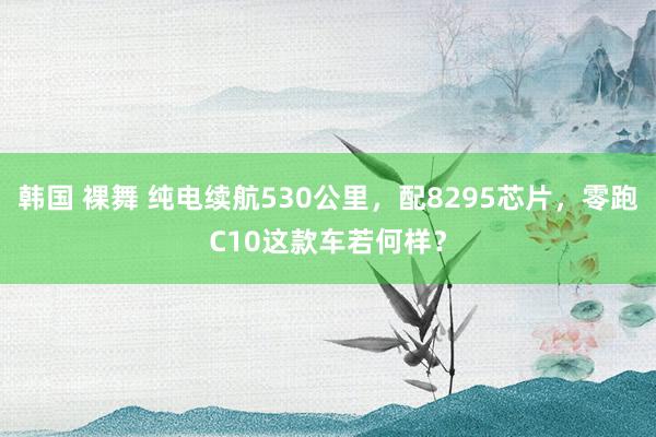 韩国 裸舞 纯电续航530公里，配8295芯片，零跑C10这款车若何样？