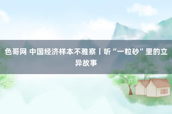 色哥网 中国经济样本不雅察丨听“一粒砂”里的立异故事