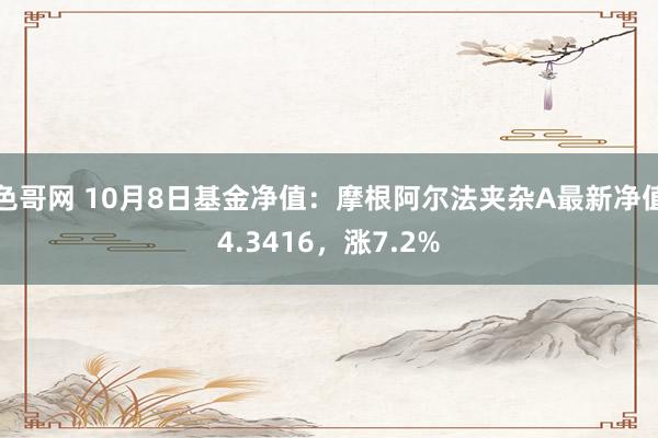 色哥网 10月8日基金净值：摩根阿尔法夹杂A最新净值4.3416，涨7.2%