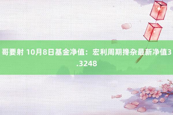 哥要射 10月8日基金净值：宏利周期搀杂最新净值3.3248