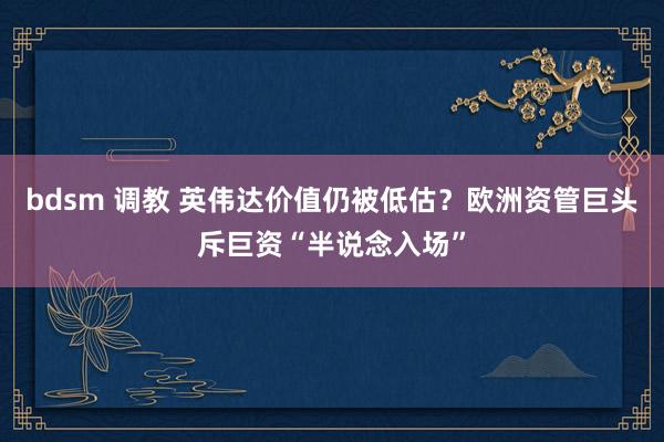 bdsm 调教 英伟达价值仍被低估？欧洲资管巨头斥巨资“半说念入场”