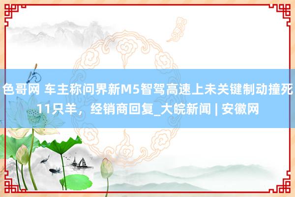 色哥网 车主称问界新M5智驾高速上未关键制动撞死11只羊，经销商回复_大皖新闻 | 安徽网