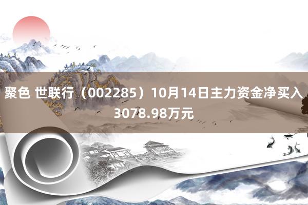 聚色 世联行（002285）10月14日主力资金净买入3078.98万元