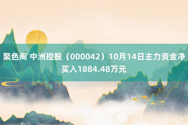 聚色阁 中洲控股（000042）10月14日主力资金净买入1884.48万元