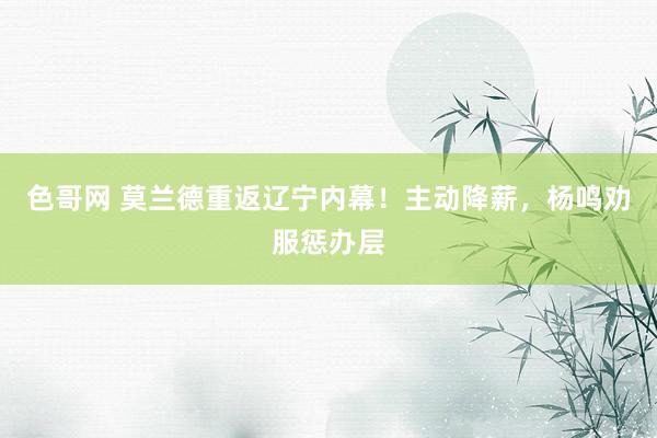 色哥网 莫兰德重返辽宁内幕！主动降薪，杨鸣劝服惩办层