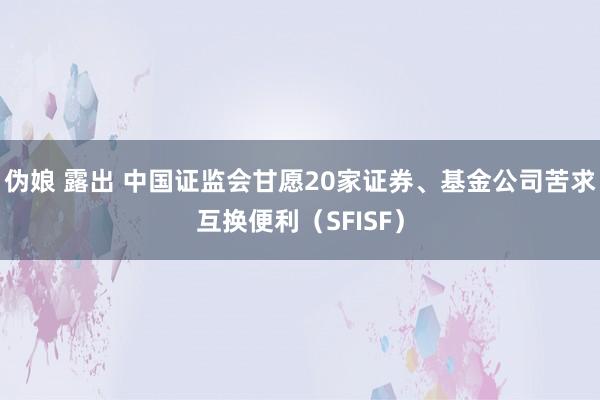 伪娘 露出 中国证监会甘愿20家证券、基金公司苦求互换便利（SFISF）