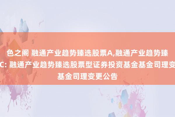 色之阁 融通产业趋势臻选股票A，融通产业趋势臻选股票C: 融通产业趋势臻选股票型证券投资基金基金司理变更公告