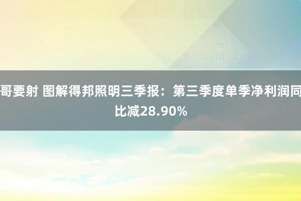 哥要射 图解得邦照明三季报：第三季度单季净利润同比减28.90%