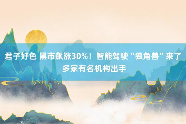 君子好色 黑市飙涨30%！智能驾驶“独角兽”来了 多家有名机构出手