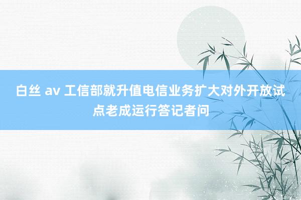 白丝 av 工信部就升值电信业务扩大对外开放试点老成运行答记者问