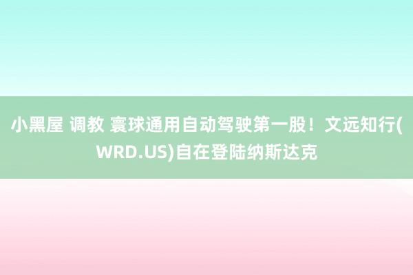 小黑屋 调教 寰球通用自动驾驶第一股！文远知行(WRD.US)自在登陆纳斯达克