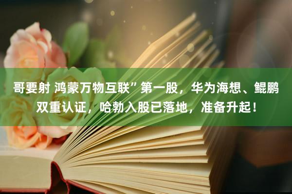 哥要射 鸿蒙万物互联”第一股，华为海想、鲲鹏双重认证，哈勃入股已落地，准备升起！