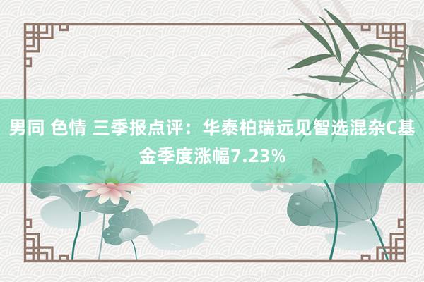 男同 色情 三季报点评：华泰柏瑞远见智选混杂C基金季度涨幅7.23%