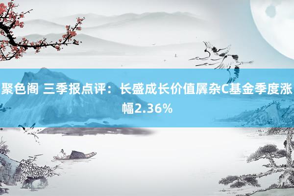 聚色阁 三季报点评：长盛成长价值羼杂C基金季度涨幅2.36%