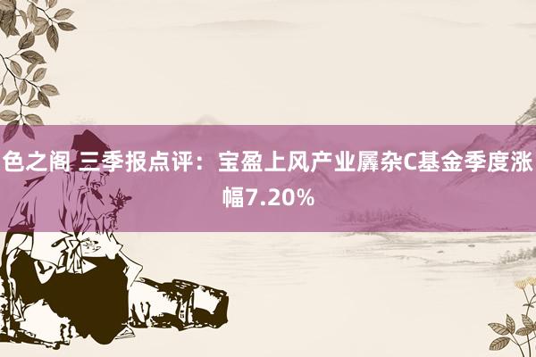 色之阁 三季报点评：宝盈上风产业羼杂C基金季度涨幅7.20%