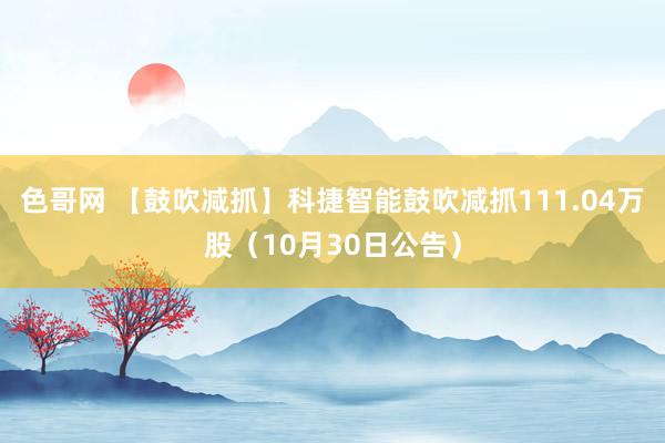 色哥网 【鼓吹减抓】科捷智能鼓吹减抓111.04万股（10月30日公告）