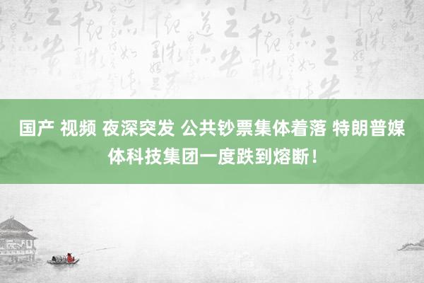 国产 视频 夜深突发 公共钞票集体着落 特朗普媒体科技集团一度跌到熔断！