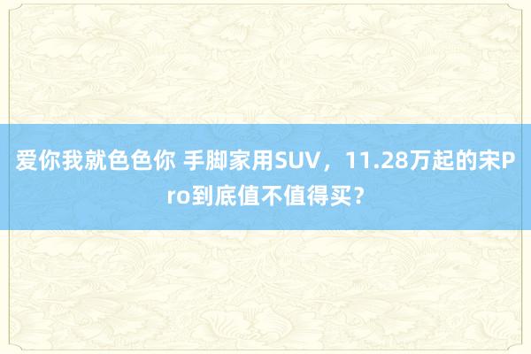 爱你我就色色你 手脚家用SUV，11.28万起的宋Pro到底值不值得买？