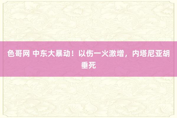 色哥网 中东大暴动！以伤一火激增，内塔尼亚胡垂死