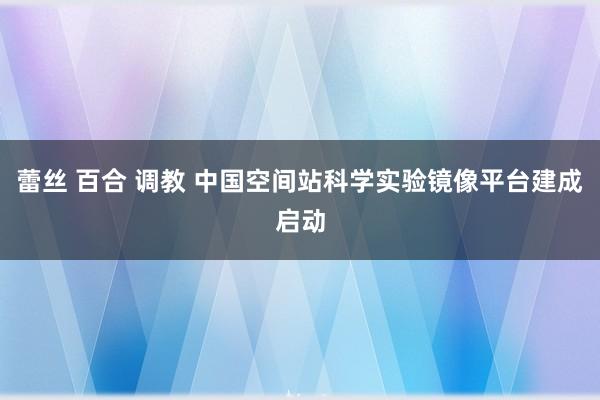 蕾丝 百合 调教 中国空间站科学实验镜像平台建成启动