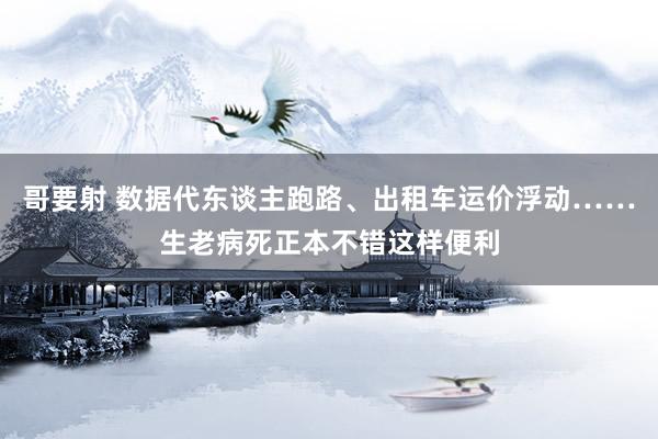 哥要射 数据代东谈主跑路、出租车运价浮动……生老病死正本不错这样便利