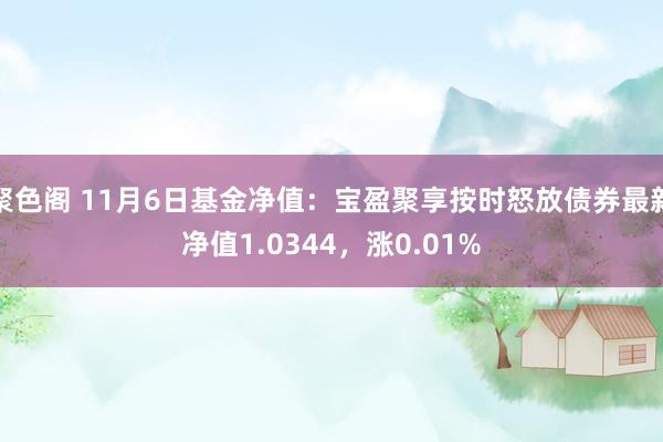 聚色阁 11月6日基金净值：宝盈聚享按时怒放债券最新净值1.0344，涨0.01%